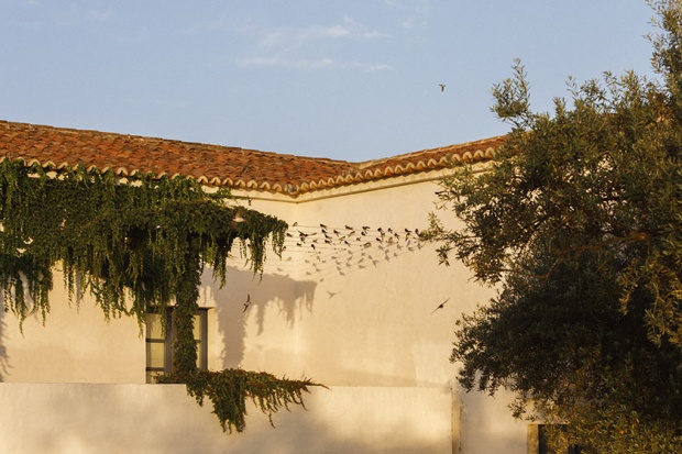 Courtyard Rooms
